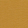 Mustard Mustard