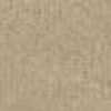 Beige Beige