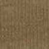 Raw Umber