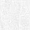 White White