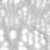 Gray Gray