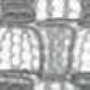 Gray Gray