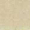 Beige Beige