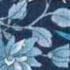 Navy Blue×Blue Navy Blue×Blue