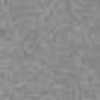 Light Gray Light Gray