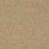 Light Beige Light Beige