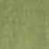 Light Khaki Light Khaki