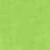 Light Green Light Green