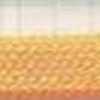 Golden Yellow Golden Yellow