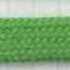 Parrot Green Parrot Green