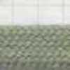 Grass Green Grass Green