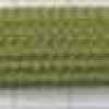 Parrot Green