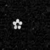 Black Black