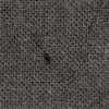 Charcoal Gray Charcoal Gray
