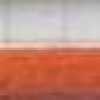 Carrot Orange Carrot Orange