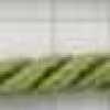 Parrot Green Parrot Green