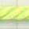 Neon Green Neon Green
