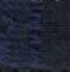 Navy Blue Navy Blue