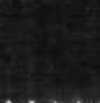 Black Black