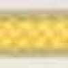 Egg Yellow Egg Yellow