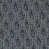 Gray Gray