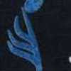 Navy Blue Navy Blue