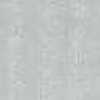 Light Gray Light Gray