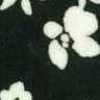 Black Black