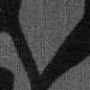Gray Gray