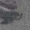 Gray Gray