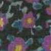 Purple Purple