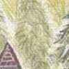 Yellow Yellow