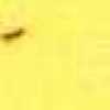Yellow (Roll)