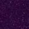Purple Purple