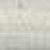 Parchment