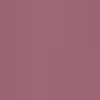 Plum Plum