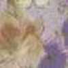 Pale Lilac Pale Lilac