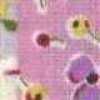 Pink Pink