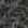 Gray Gray
