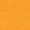 Marigold Marigold