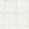 White White