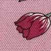 Tulip Pink Tulip Pink
