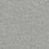 Gray Gray