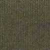 Khaki Khaki