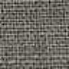 Gray Gray