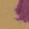 Beige X Purple Beige X Purple