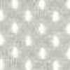 Silver Gray Silver Gray