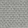 Gray Gray