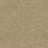 Beige Beige