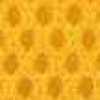 Yellow Yellow